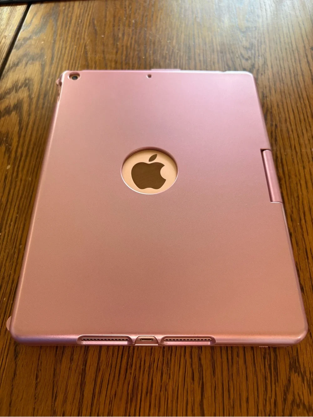 Apple this ipad